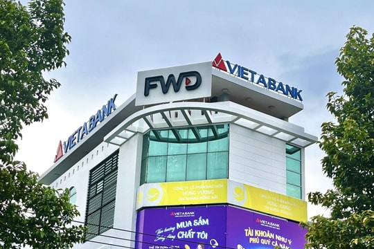 Chi nhánh của Ngân hàng Việt Á (VietABank) còn một số hạn chế, sai sót và vi phạm