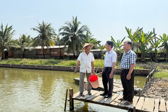 Nông dân An Giang thu về gần 1 tỷ đồng/năm nhờ đổi mới mô hình nuôi trồng thủy sản