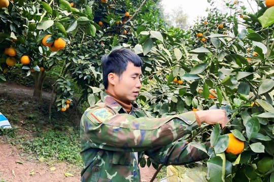 Từ đồi thông thu nhập thấp, nông dân Lạng Sơn chuyển sang trồng giống trái mới, mỗi năm thu hàng trăm triệu đồng