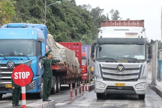 Tạm dừng áp dụng Nghị định số 46 về an toàn thực phẩm đến hết ngày 15/4/2026