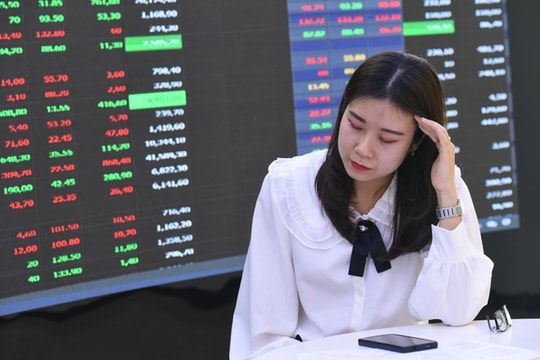 Chứng khoán ảm đạm những ngày cuối năm, cổ phiếu nhà Vingroup đảo chiều đỡ chỉ số