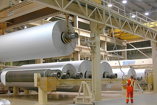 Dohaco (DHC) nâng vốn tại Giấy Giao Long sau năm kinh doanh khởi sắc