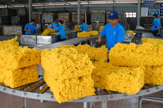 Lợi nhuận quý IV giảm sâu, Cao su Phước Hòa (PHR) chờ khoản đền bù nghìn tỷ