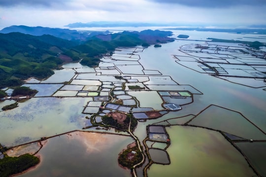 Quảng Ninh kỳ vọng vào vùng đất 131km2 ven biển, mục tiêu thu nhập 170 triệu đồng/người vào năm 2030