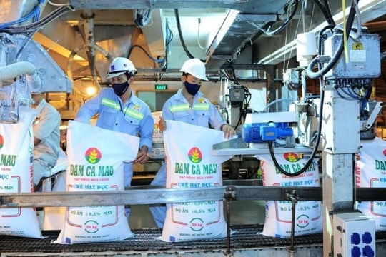 Lợi thế tồn kho giúp Đạm Cà Mau bứt tốc lợi nhuận quý I