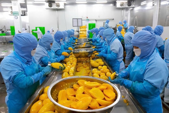 Doanh nghiệp địa phương: “Trỗi dậy” từ nội lực vùng miền