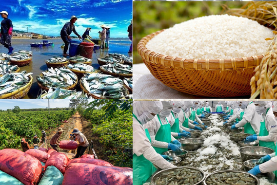 Thời tới với cổ phiếu nông nghiệp, thủy sản: Có mã được khuyến nghị mua với tiềm năng tăng hơn 25%