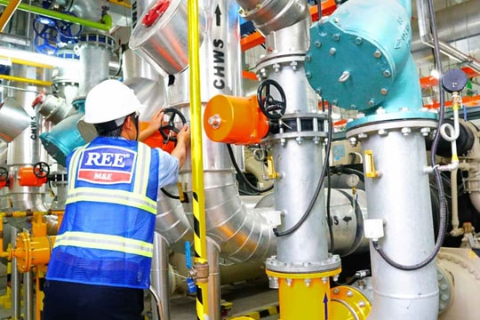 Lợi nhuận tăng mạnh, dàn lãnh đạo REE nhận thù lao hàng chục tỷ đồng
