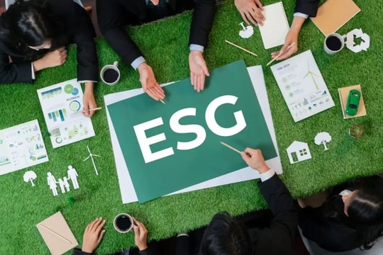 Mắt xích trung gian và bài toán đưa ESG vào thực chất
