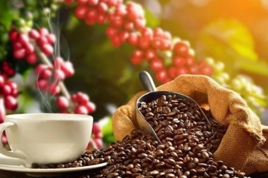 Giá cà phê hôm nay 22/2/2026: Robusta tiếp tục suy yếu, thị trường chờ cú bật mạnh để kích hoạt bán ra