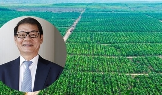 THACO AGRI của tỷ phú Trần Bá Dương muốn tăng tốc quy mô trong năm 2026