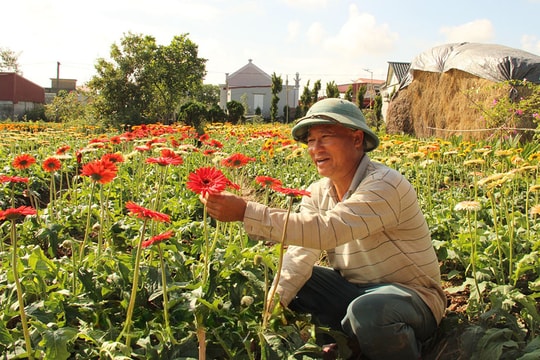 Nông dân Hưng Yên và vụ mùa mang lại lợi nhuận tiền tỷ
