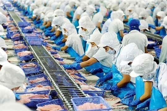 Gam màu trái chiều tại các doanh nghiệp thủy sản: Cá tra phục hồi, tôm vẫn chịu sức ép