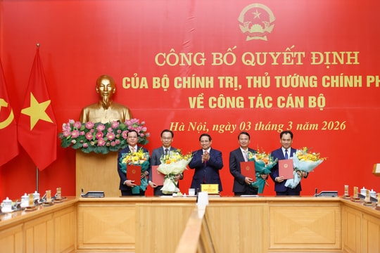 Thủ tướng trao quyết định chỉ định Phó Bí thư Đảng ủy Chính phủ và bổ nhiệm lãnh đạo 4 bộ, cơ quan ngang Bộ