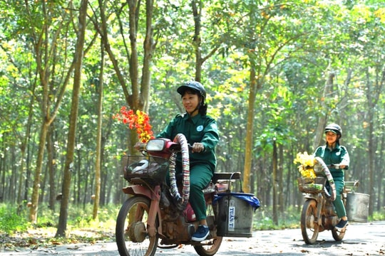 Câu chuyện thoái vốn Nhà thổi luồng sinh khí mới vào một cổ phiếu VN30, thị giá lên cao chưa từng có