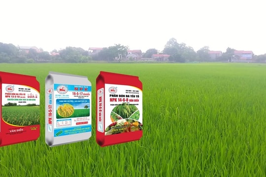 Một doanh nghiệp phân bón trên HOSE bị truy thu gần 2,8 tỷ đồng tiền thuế