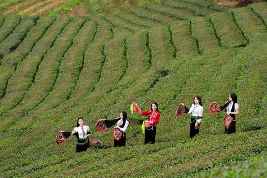 Vùng đất đặc biệt rộng hơn 23 km² của Lào Cai xác định hướng đi mới, lấy "chất địa phương" làm điểm tựa sau sáp nhập
