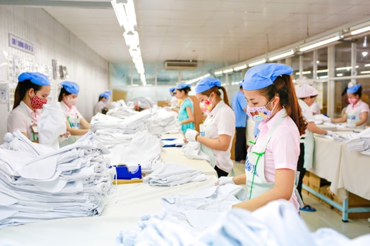 Chốt lịch ĐHCĐ, Dệt may Hòa Thọ mở thêm hạn mức vay 400 tỷ đồng