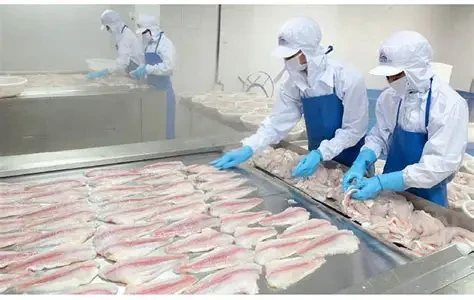 Thủy sản Mekong (AAM) đặt mục tiêu khiêm tốn trong năm 2026, tiếp tục tái cơ cấu để nâng hiệu quả