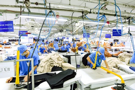 Vải sợi May mặc Miền Bắc (TET) phát hành cổ phiếu lấy tiền làm bất động sản, một cá nhân mua tới 80%