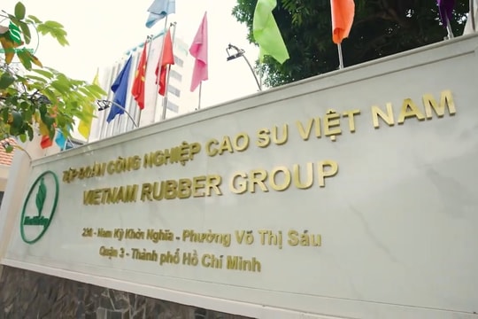 Kỷ luật vốn tại DNNN, lát cắt mới nhất từ kết luận thanh tra GVR