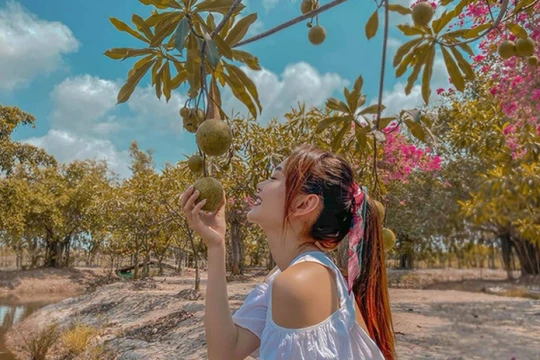 Phong cách sống đẳng cấp của mỹ nhân Vbiz: Sở hữu nhiều biệt thự triệu đô và khu đất rộng 20.000m²