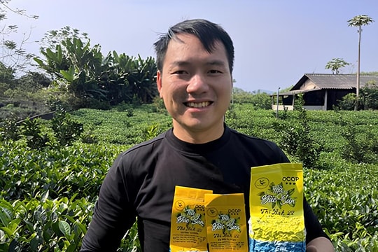 Nông dân Tuyên Quang làm giàu qua TikTok