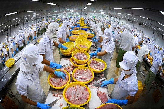 Một cổ phiếu thủy sản bật tăng dựng đứng ngay sau động thái "đỡ giá" của lãnh đạo cấp cao