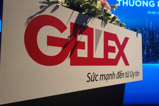 Tập đoàn Gelex dự kiến chia cổ tức tới 53%, tăng vốn lên hơn 13.000 tỷ đồng