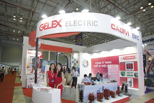 Sau năm "thuận buồm xuôi gió", Điện lực GELEX (GEE) tiếp tục chi đậm trả quyền lợi cho cổ đông