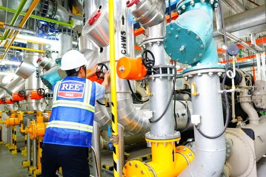 Cơ Điện Lạnh (REE) dự kiến phát hành cổ phiếu ESOP cho nhân sự chủ chốt