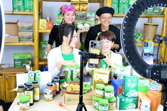 Bán hàng livestream: Đăng ký kinh doanh chịu thuế 7%, không đăng ký có thể cao gấp 5 lần
