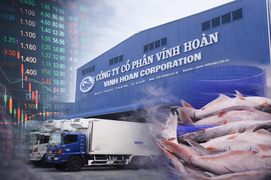 Thương vụ nghìn tỷ và những toan tính của “nữ hoàng cá tra” Vĩnh Hoàn (VHC)