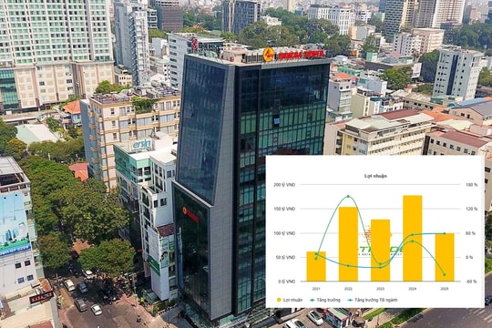 CIENCO4 chốt lịch ĐHCĐ, bức tranh tài chính hé lộ nhiều điểm đáng chú ý