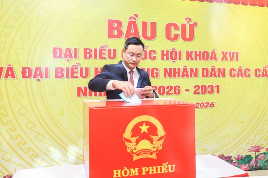 Hơn 2,1 triệu cử tri Đà Nẵng nô nức đi bỏ phiếu "Ngày hội non sông"