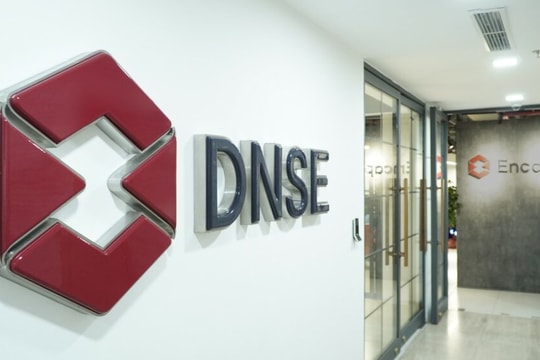 Hơn 42 triệu cổ phiếu DNSE đổi chủ, vai trò chi phối của hệ sinh thái Encapital dần rõ nét
