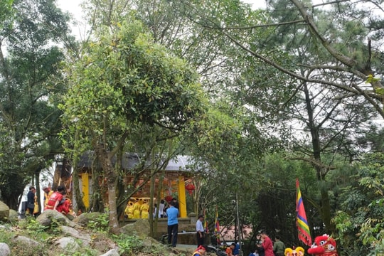 Một không gian tâm linh đặc biệt ở Hải Phòng: 5 đỉnh núi, 5 ngôi miếu, 5 vị thần