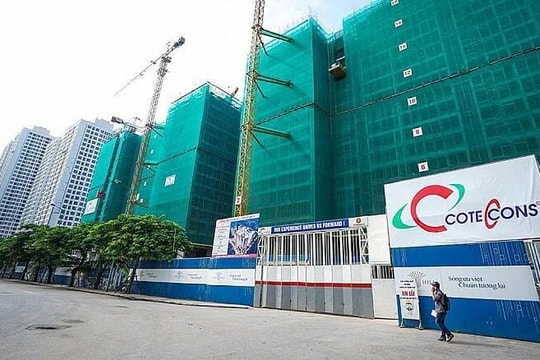Coteccons (CTD) thu hồi 100.000 cổ phiếu ESOP sau quyết định miễn nhiệm ông Nguyễn Văn Đua
