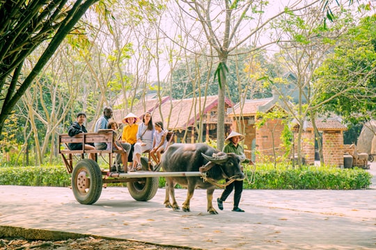 Giữa Ninh Bình, một vùng đất đặc biệt vừa trồng thuốc, vừa đón khách du lịch tới trải nghiệm