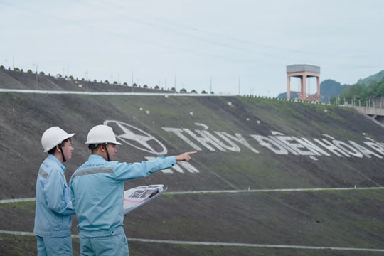 Một doanh nghiệp xây lắp miền Trung muốn bỏ ngành bán buôn thuốc lá, thuốc lào