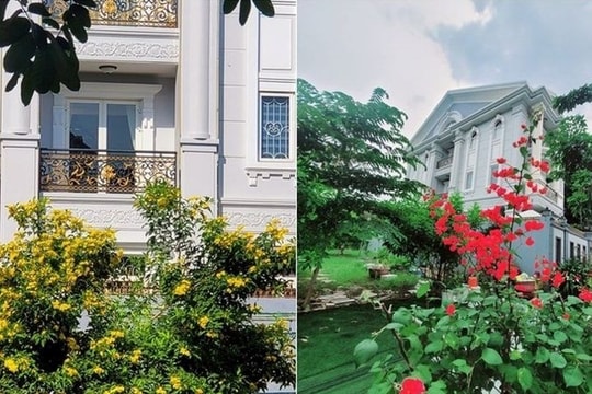 Bên trong biệt thự 20 tỷ của "nữ hoàng dân ca": Khu vườn cây trái xanh mát giữa lòng TP.HCM