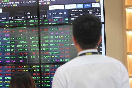 VN-Index chưa có dấu hiệu “ngừng rơi”, chuyên gia hé lộ vùng đáy và chiến lược hành động cho tuần tới