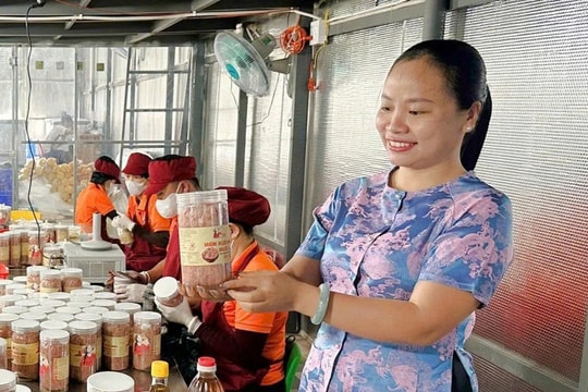Người nông dân Gia Lai bỏ phố về quê làm “vàng mặn”, bất ngờ với khoản doanh thu lên tới 600 triệu/tháng