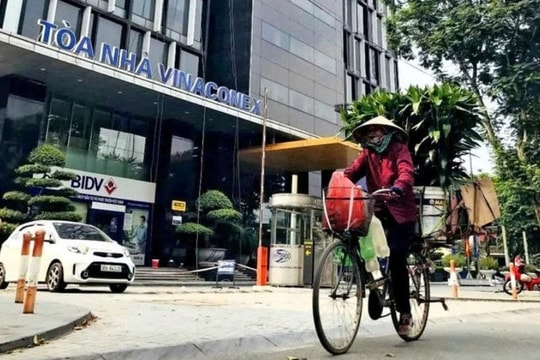 Cổ phiếu công ty con của Vinaconex có dấu hiệu tạo mô hình cây thông, cổ đông cần hết sức chú ý một tin nóng