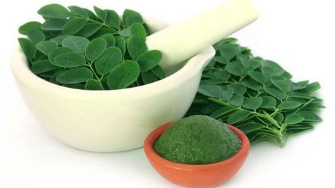 Loại rau dân dã ven vườn được ví "vua dinh dưỡng", ít người biết tới