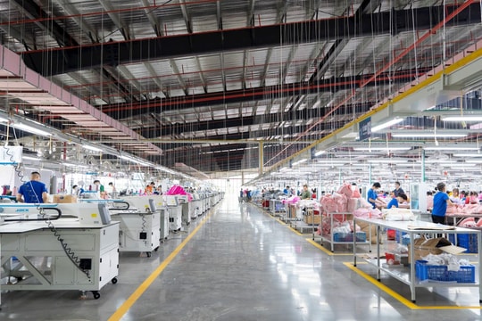 TNG và bài toán tái định vị sau hai thập kỷ tăng trưởng (Bài 2): Tăng trưởng quy mô và hiệu quả kinh doanh