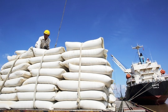 Giá gạo xuất khẩu các nước châu Á sụt giảm