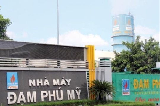 Phía sau câu chuyện tăng cổ tức của Đạm Phú Mỹ (DPM), HĐQT đã có những chiến lược gì?