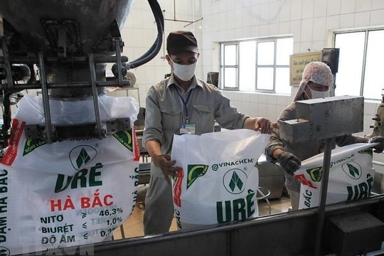 Một doanh nghiệp hóa chất bị hủy niêm yết bắt buộc, nguồn cơn từ dự án liên quan tới HUD4?