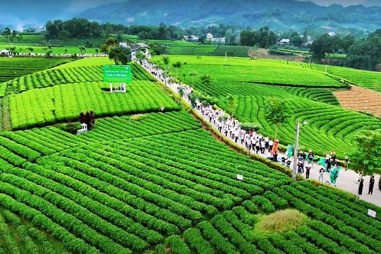Hàng triệu người đặt chân đến Thái Nguyên, điều gì khiến xu hướng này xuất hiện?
